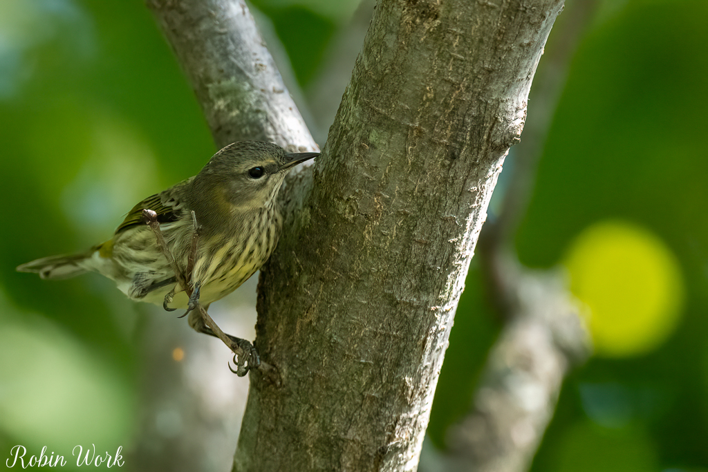 RD5_5288-Edit-2.jpg