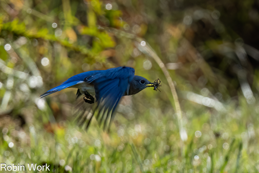 RD5_5635-Edit.jpg