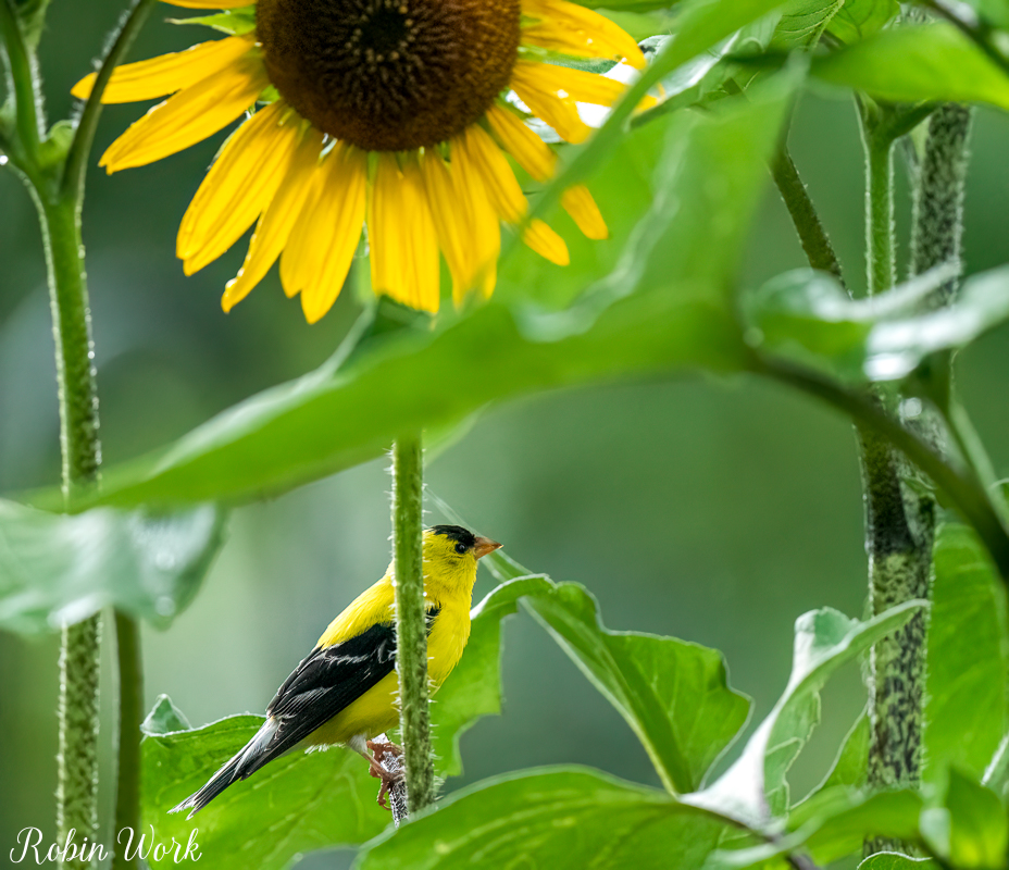 RD5_5834-Edit.jpg