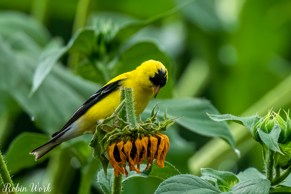RD5_5845-Edit.jpg