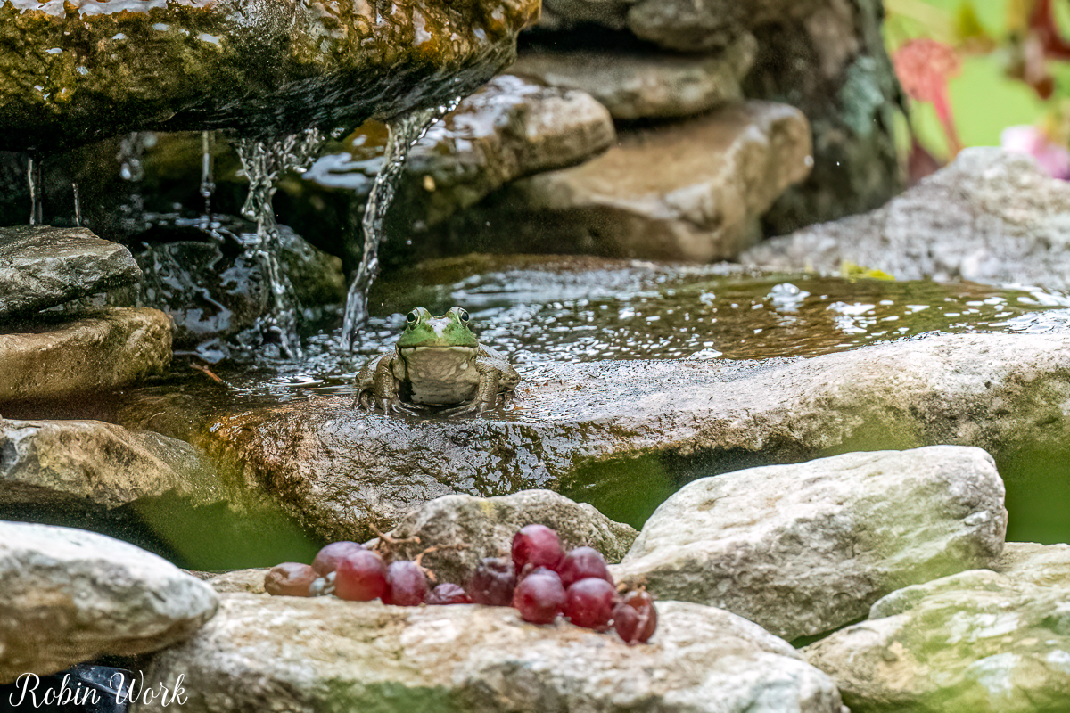 RD5_5872-Edit.jpg