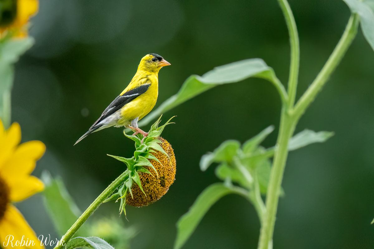 RD5_5898-Edit.jpg