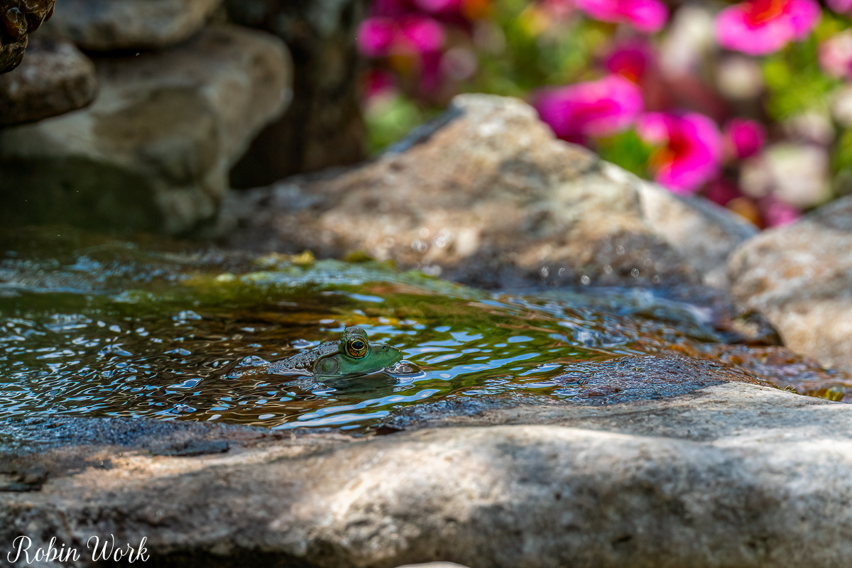 RD5_6310-Edit.jpg