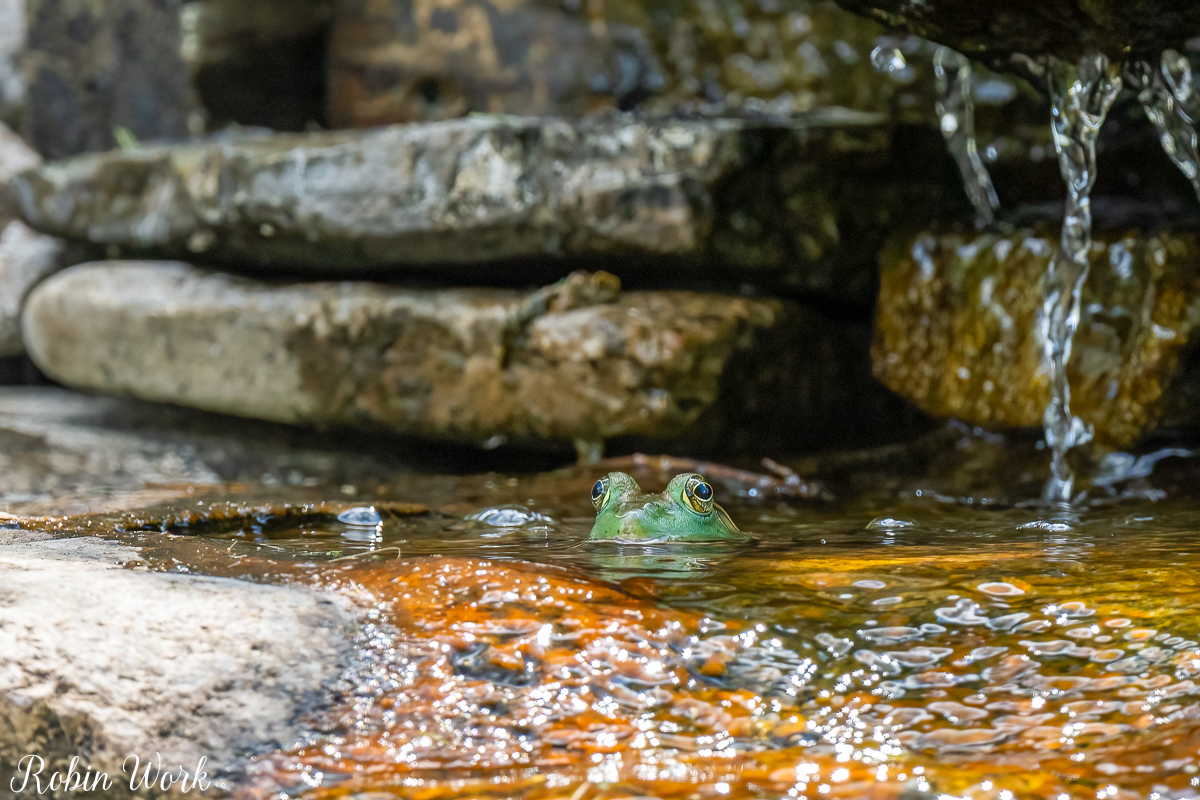 RD5_6318-Edit.jpg