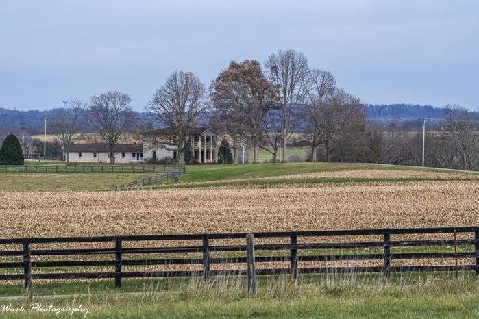 RD5_6645Farm.jpg