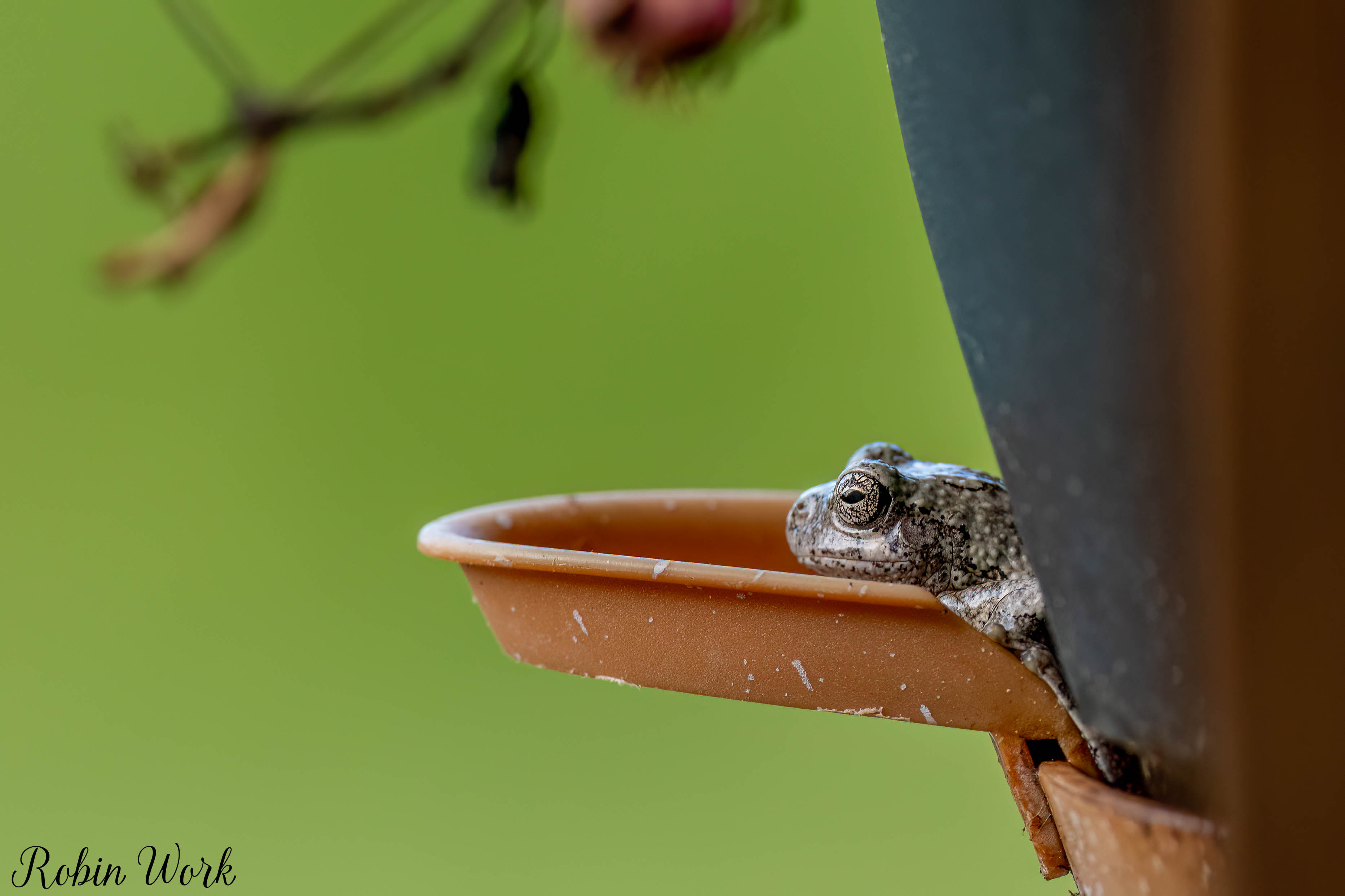 RD5_6748-Edit.jpg