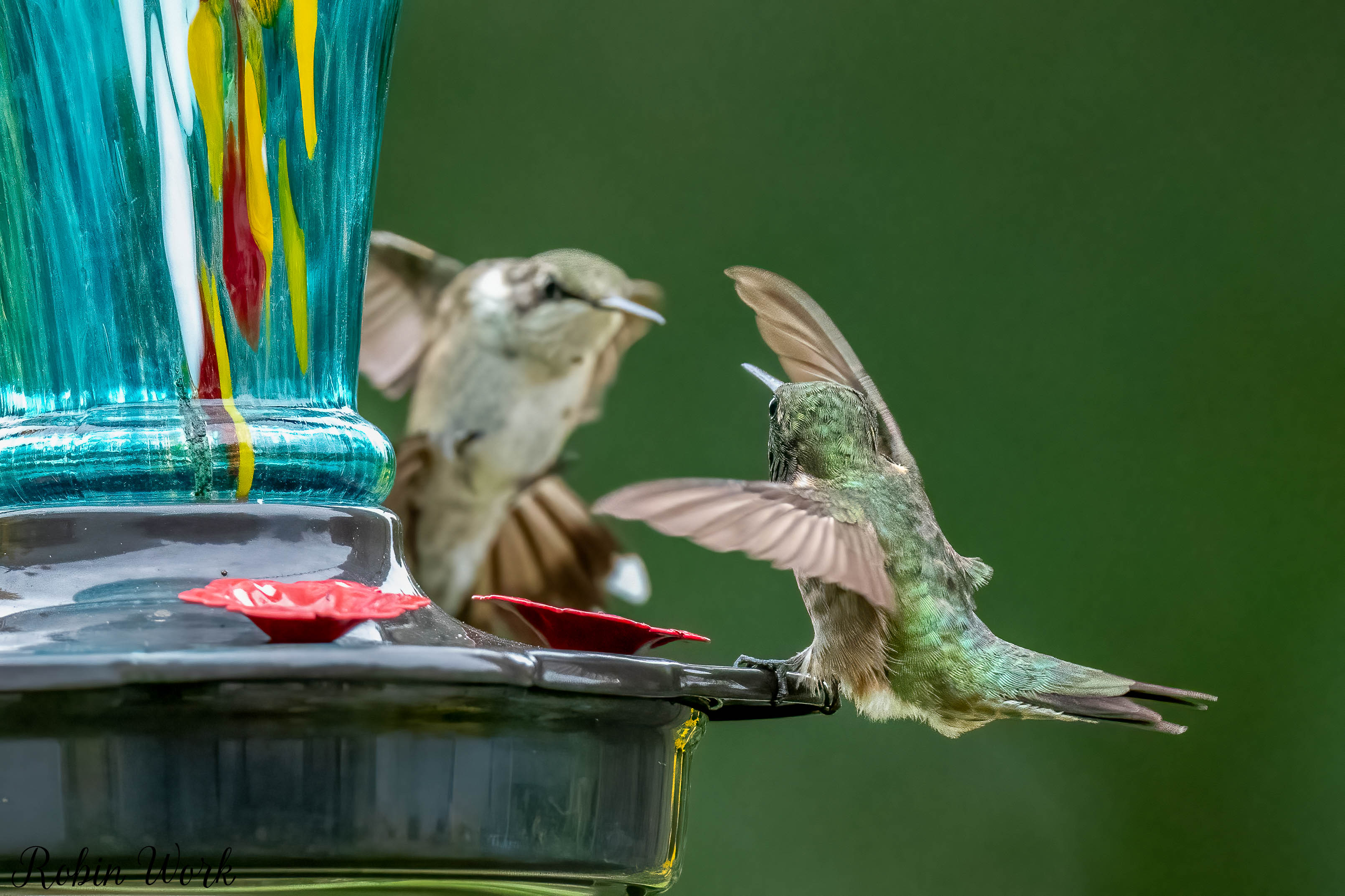 RD5_6938-Edit.jpg
