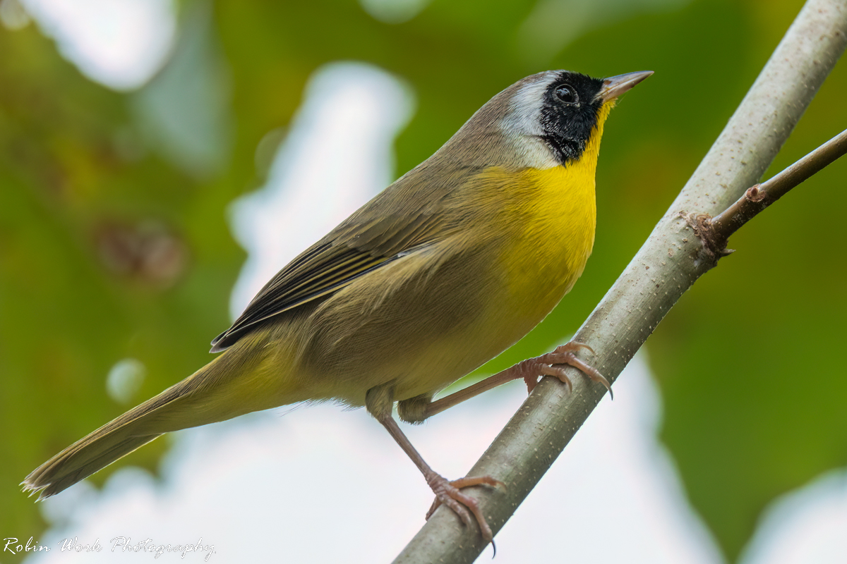 RD5_7390-Edit.jpg
