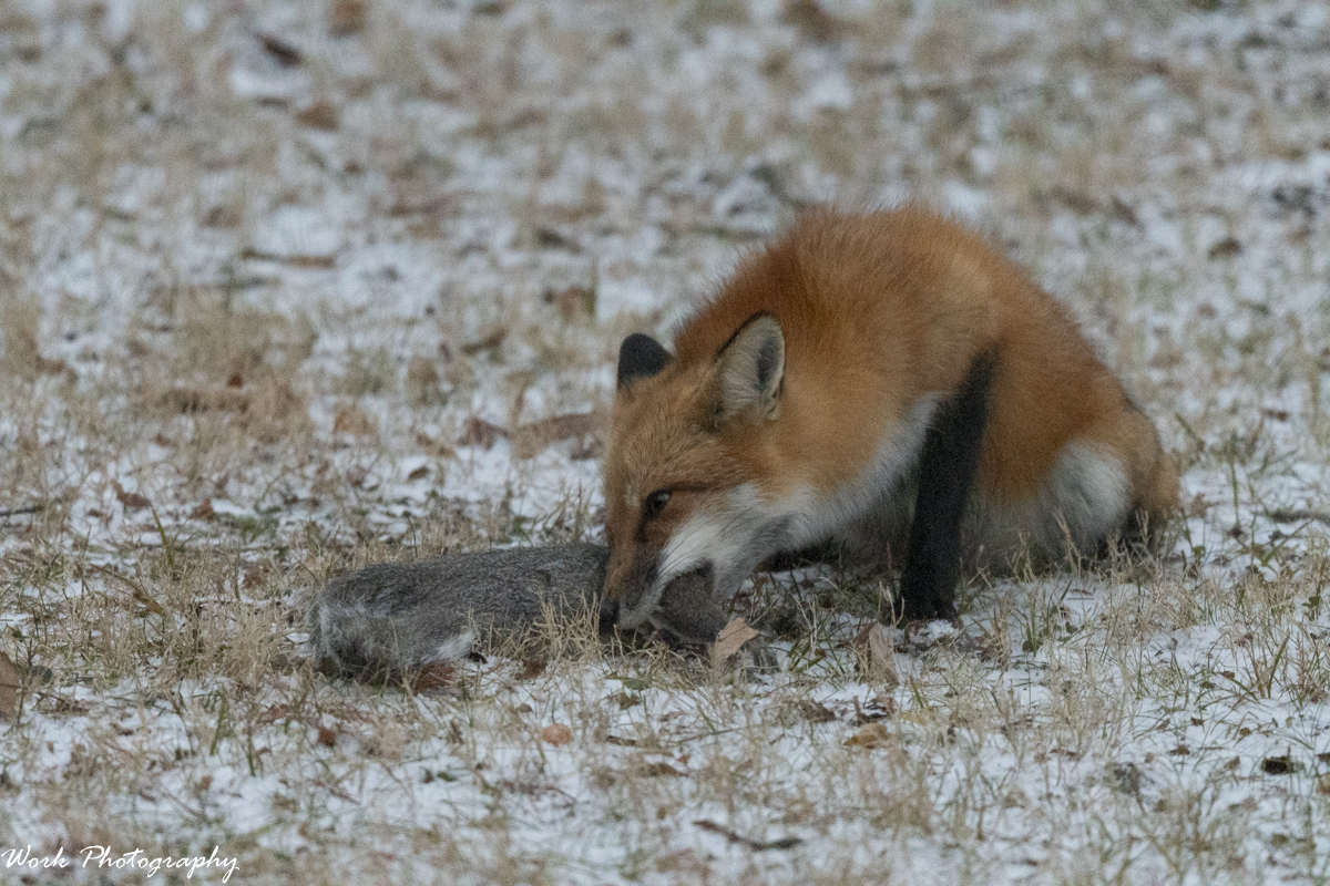 RD5_7951.jpg