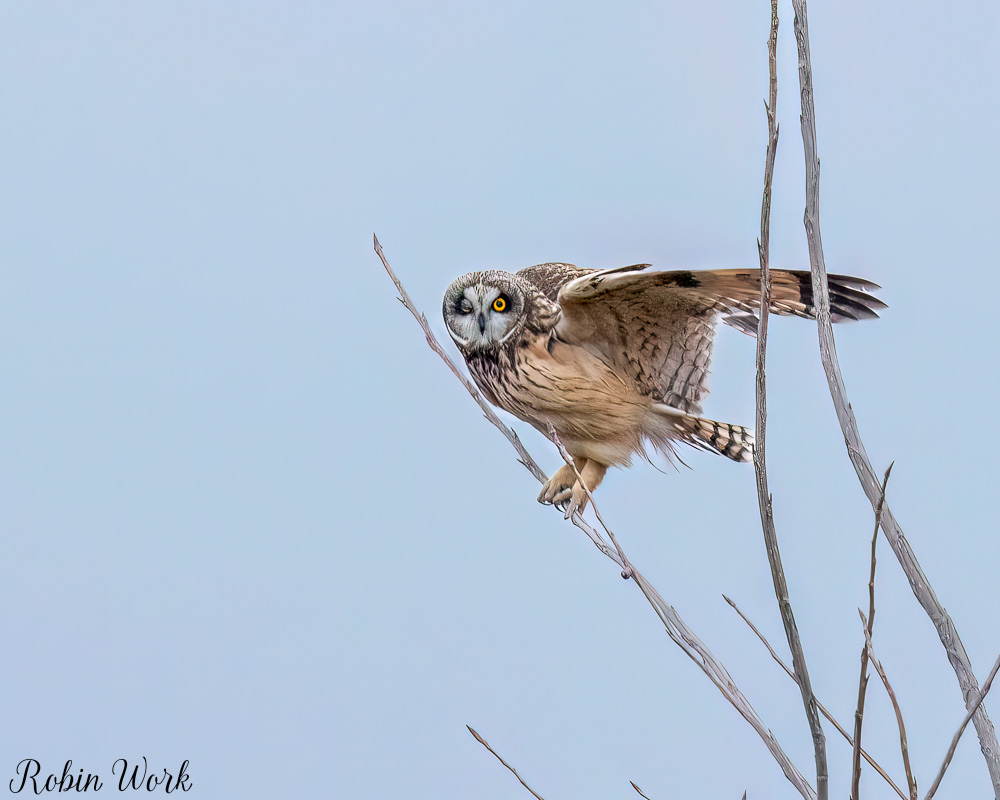 RD5_8400-Edit-Edit.jpg
