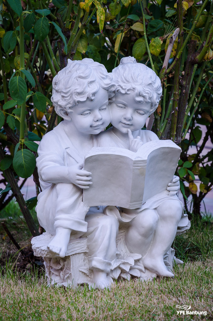reading-2.jpg