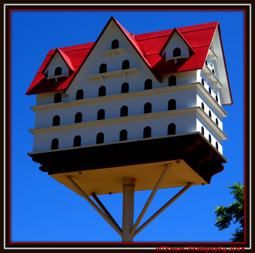 Red and White Bird House.jpg