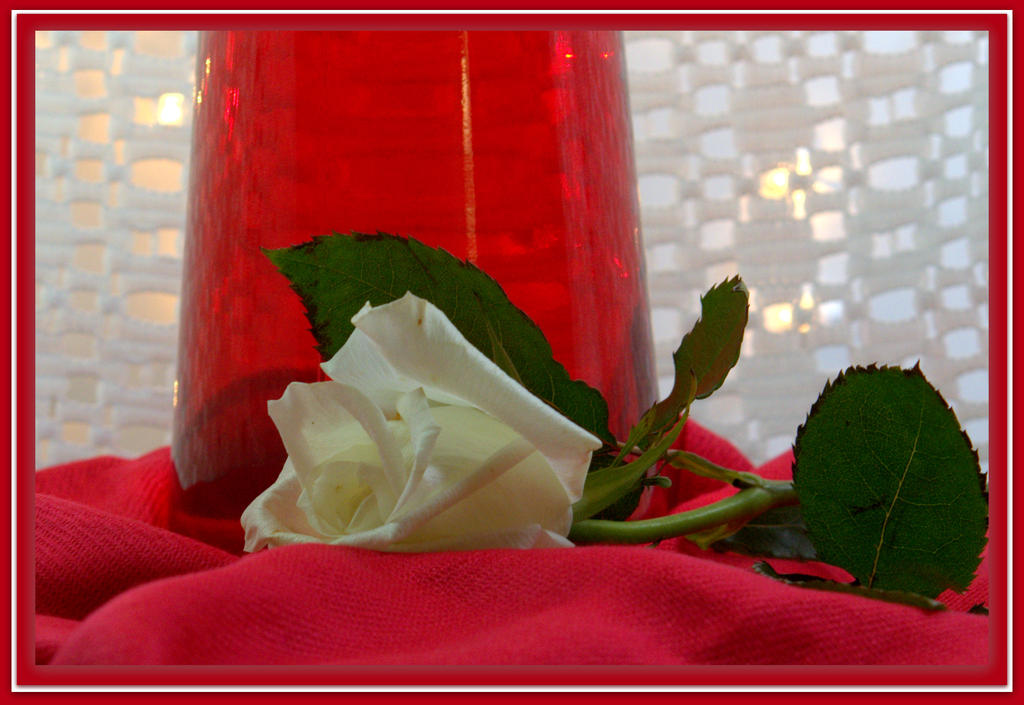 Red and White.jpg