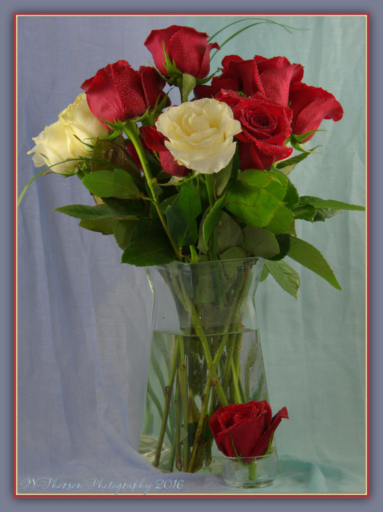 Red and White Roses Bouquet 5-8-2016.jpg