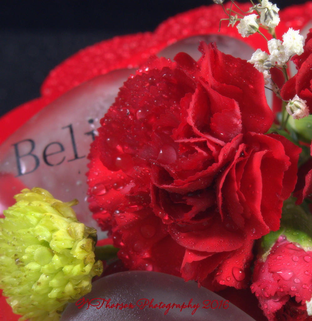 Red Carnations #1 12-13-2016.jpg