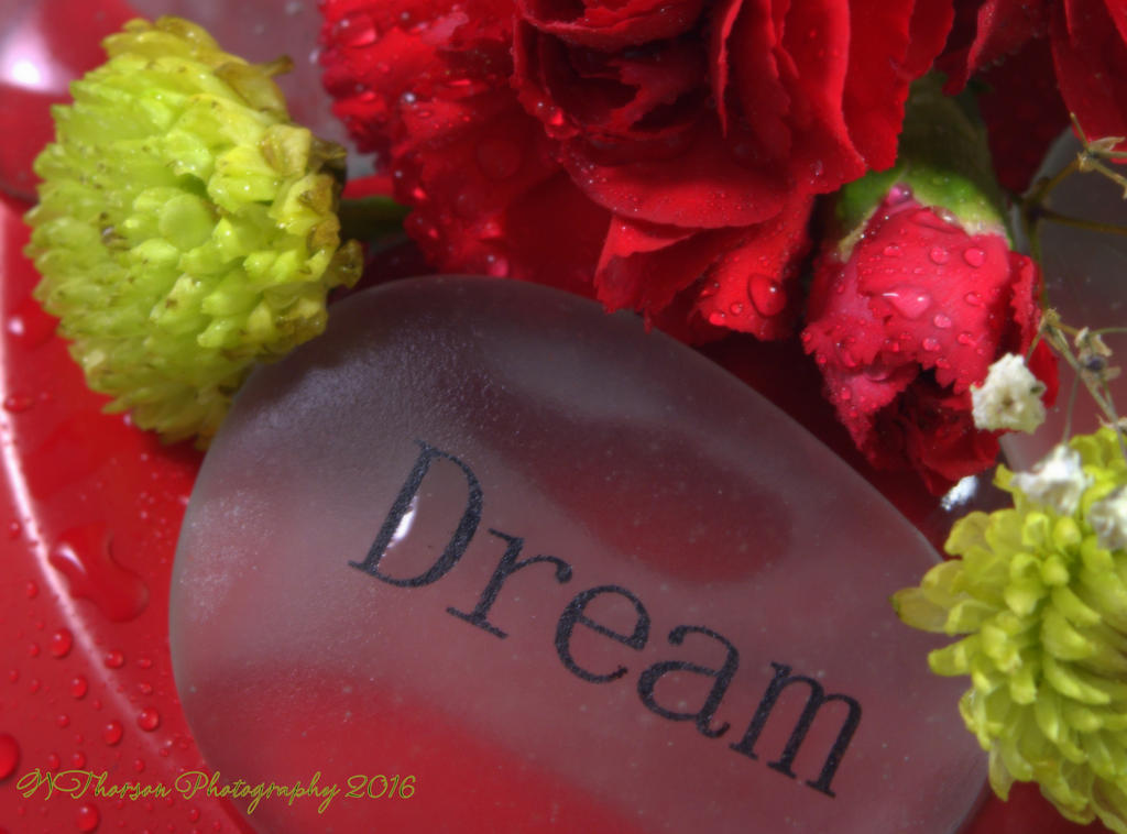 Red Carnations #3 12-13-2016.jpg