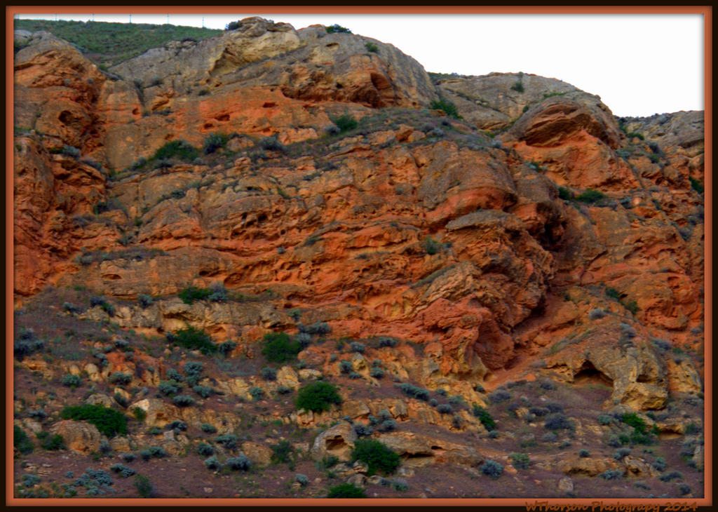 Red Cliffs 3.jpg