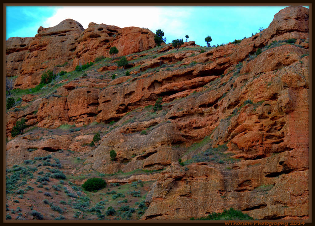 Red Cliffs 4.jpg