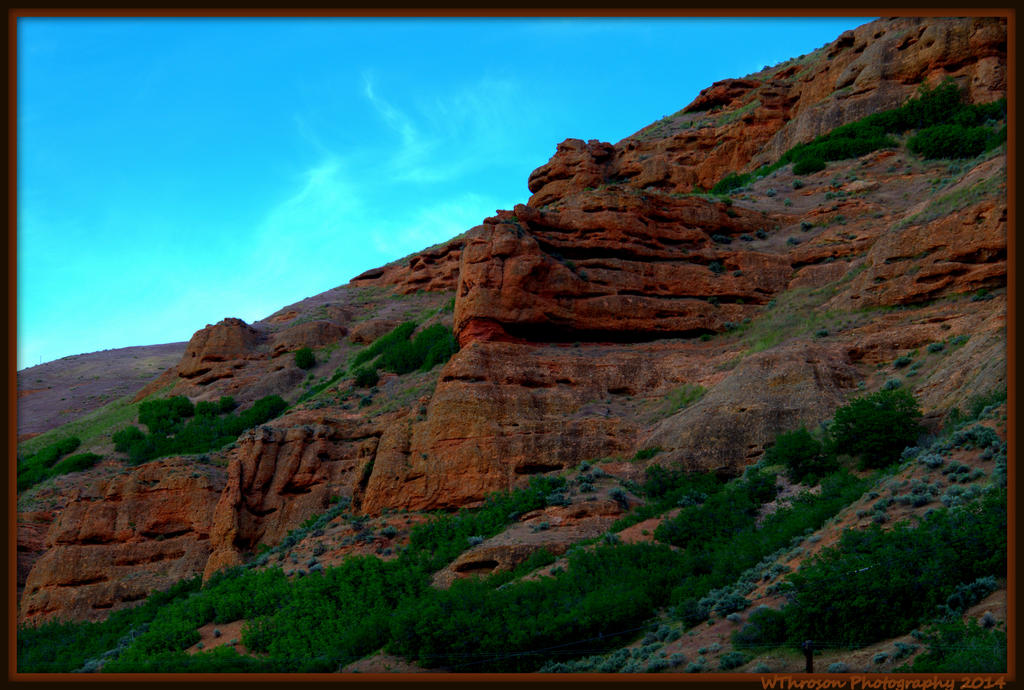 Red Cliffs 5.jpg