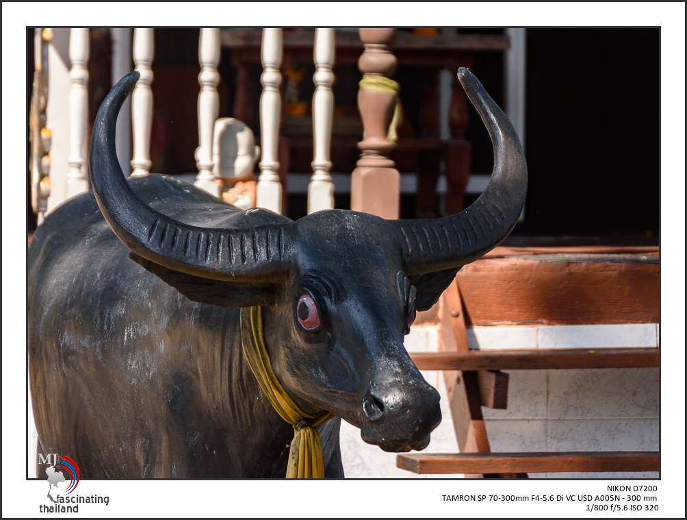red-eye-1.jpg