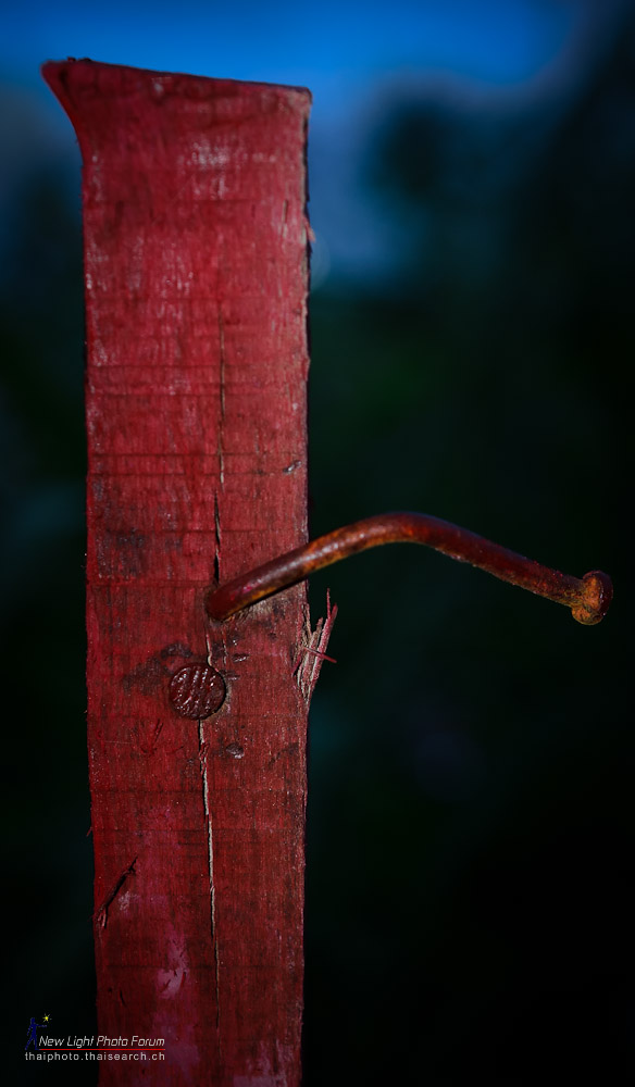 red.jpg