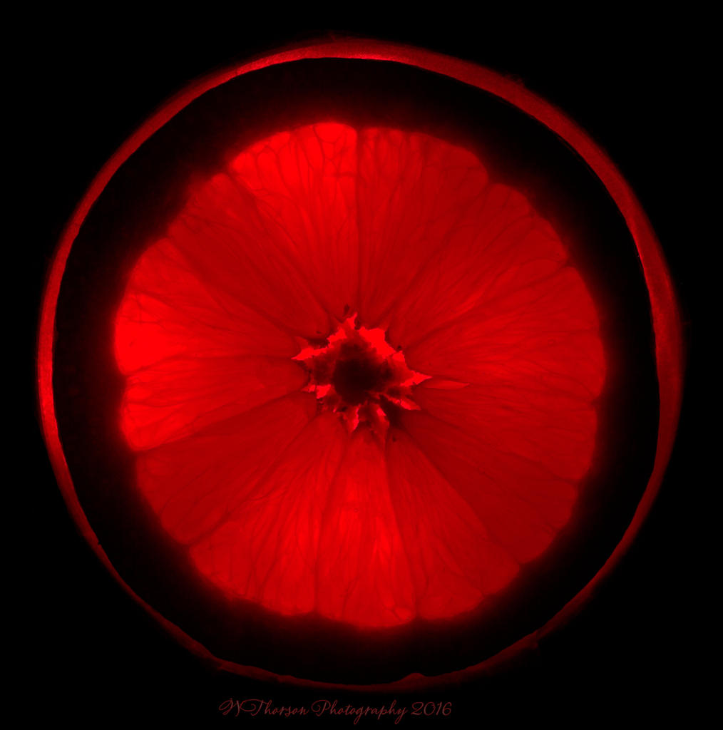 Red Orange 4-7-2016.jpg