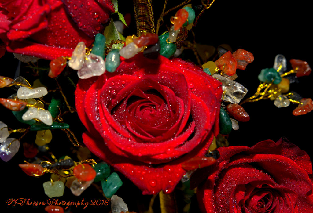 Red Rose on Stone Tree #3  9-1-2016.jpg