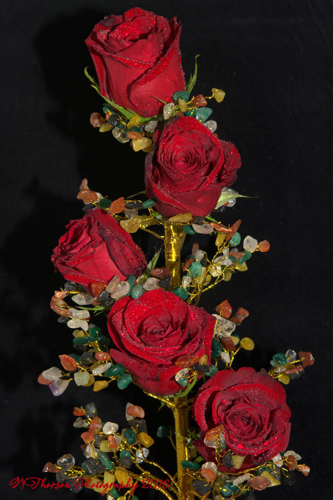 Red Rose on Stone Tree #4  9-1-2016.jpg