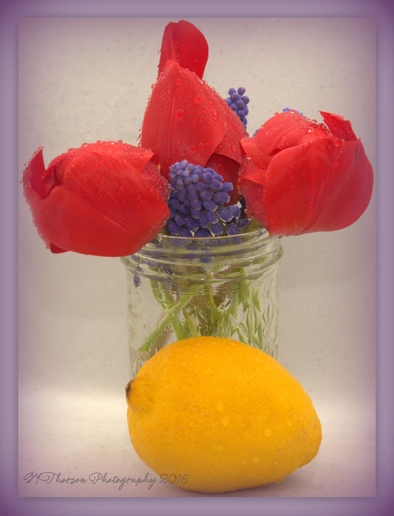 Red Tulips, Grape Hyacinth, and a Lemon 4-13-2016.jpg