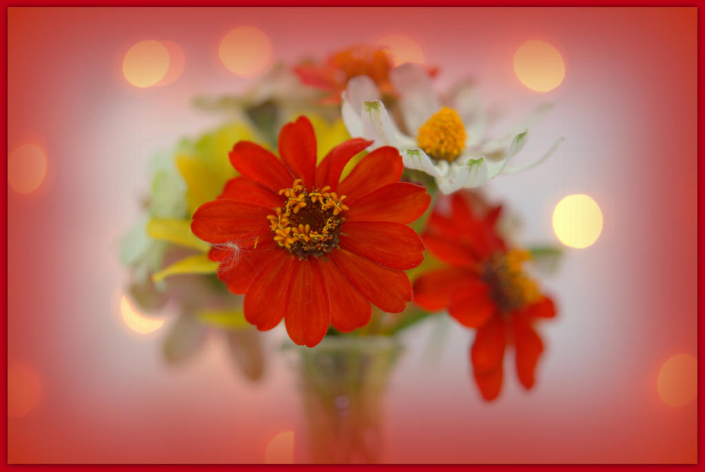 Red Zinnia Bouquet.jpg