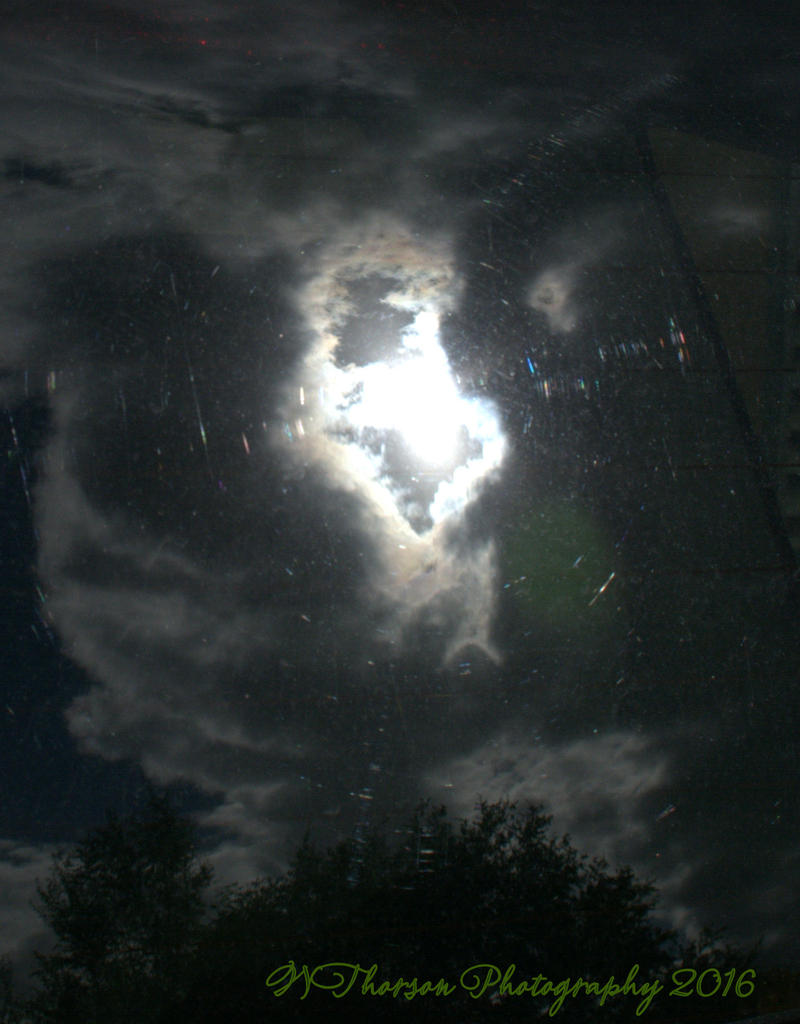 Reflection 10-3-2016.jpg