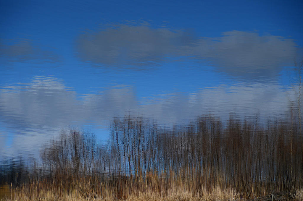 reflection.jpg