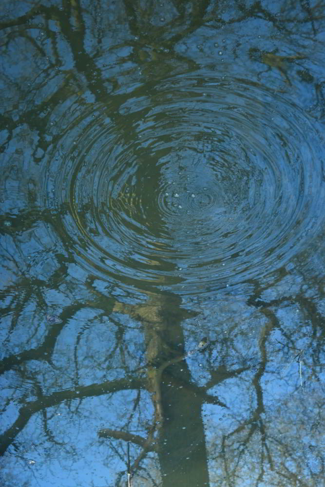 reflection-jpg.388230