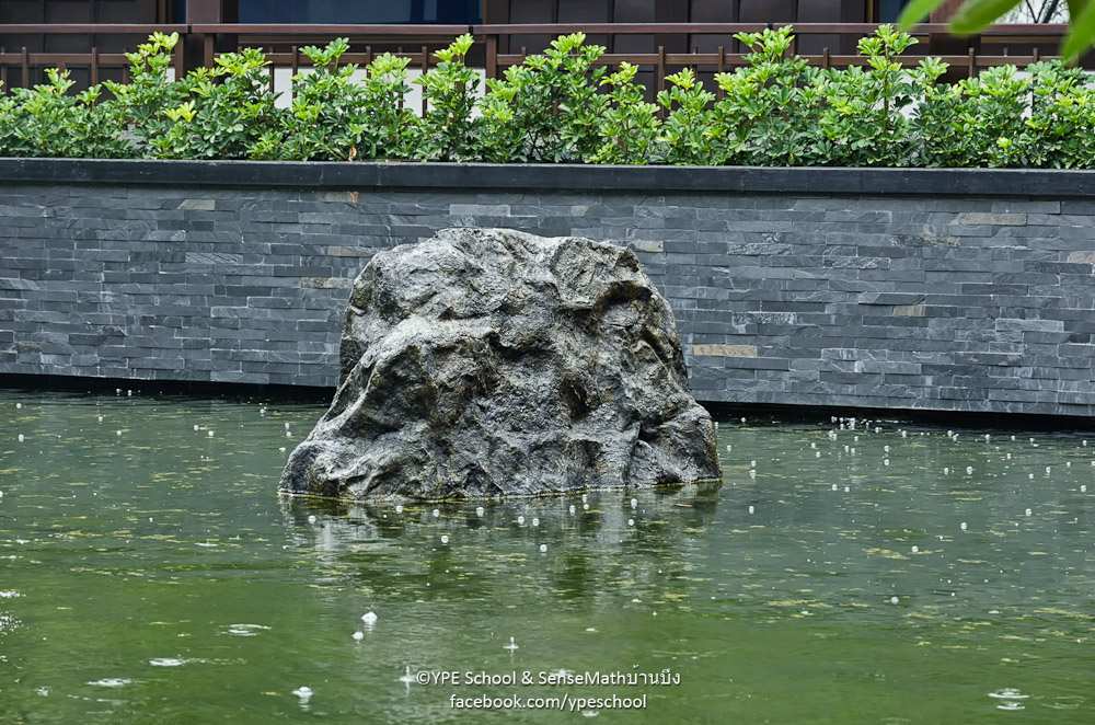 regen1-1.jpg