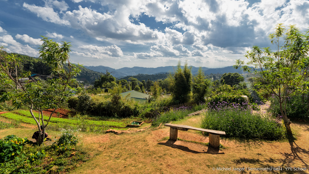 relaxing day-1.jpg