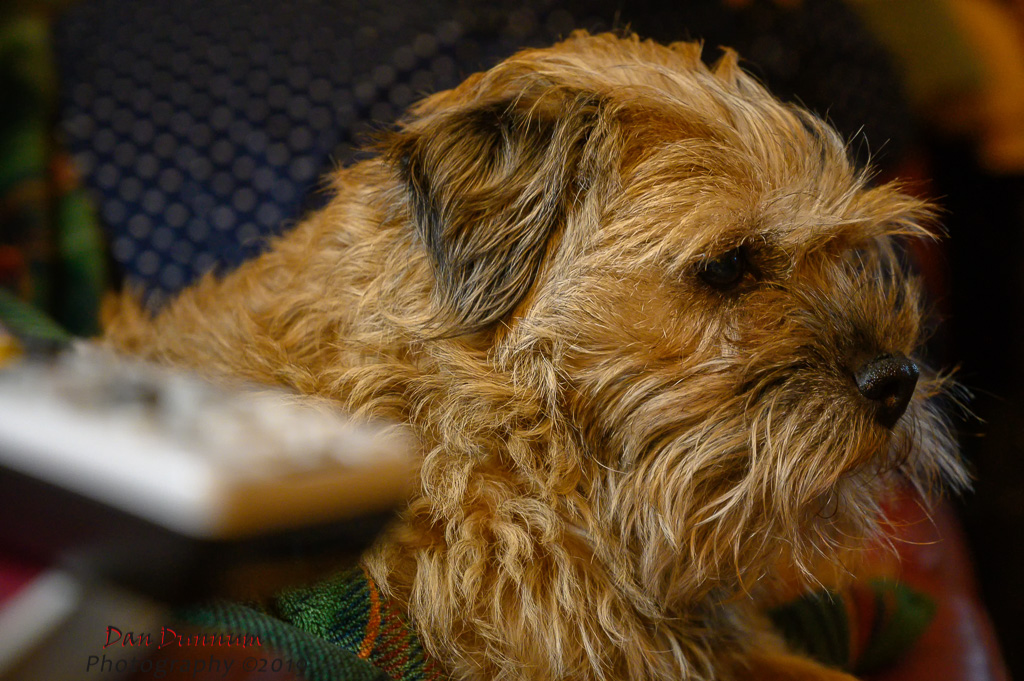 Reluctant model-0439-Edit.jpg