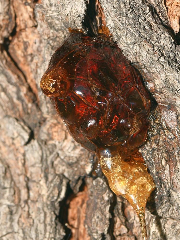 Resin2.jpg