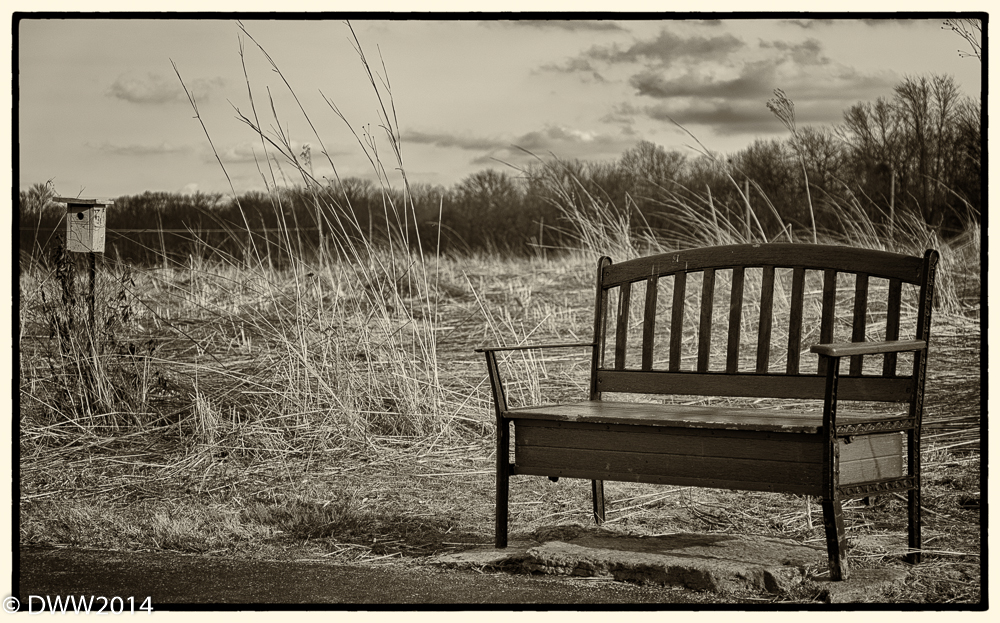 Rest Your Feet (1 of 1).jpg