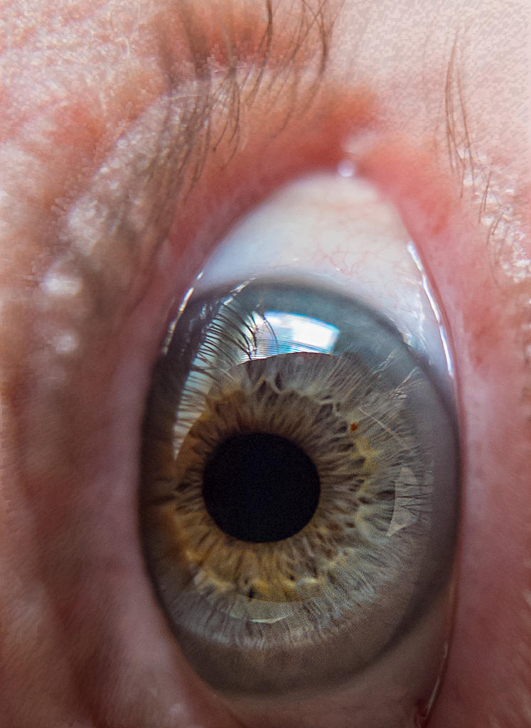 Reversed photography from the outside in.jpg