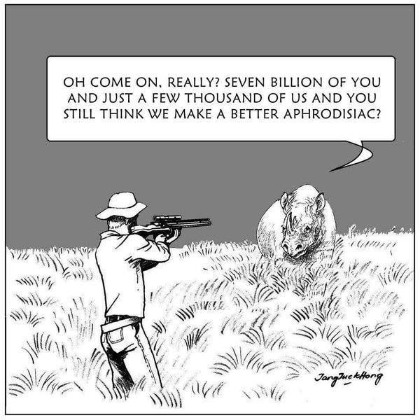rhino.jpg