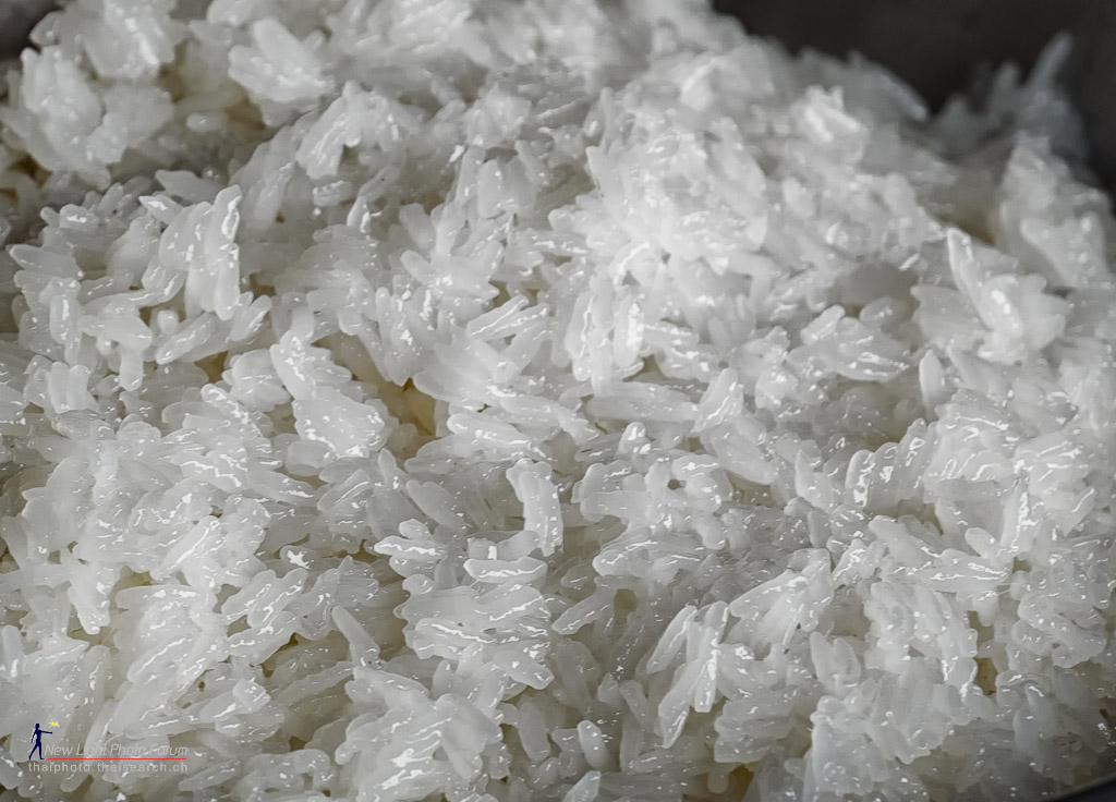 rice-1.jpg