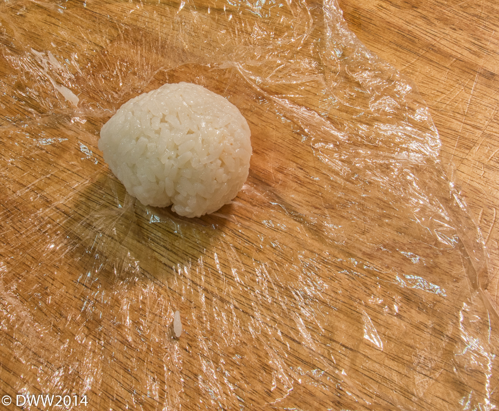 Rice Ball  (1 of 1).jpg