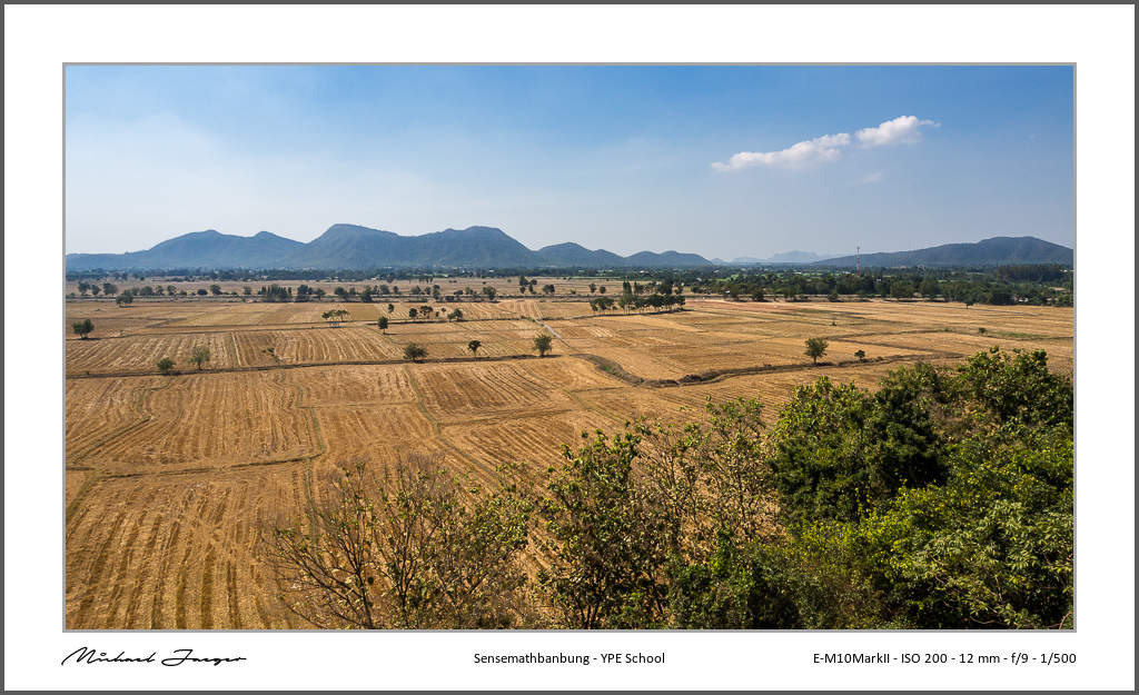 rice-fields-2.jpg