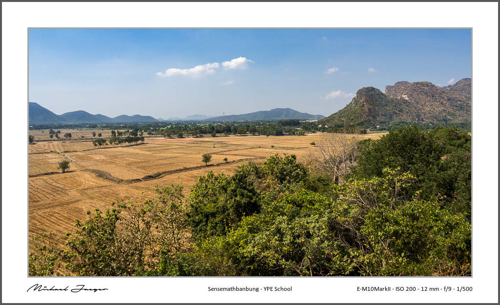 rice-fields-3.jpg