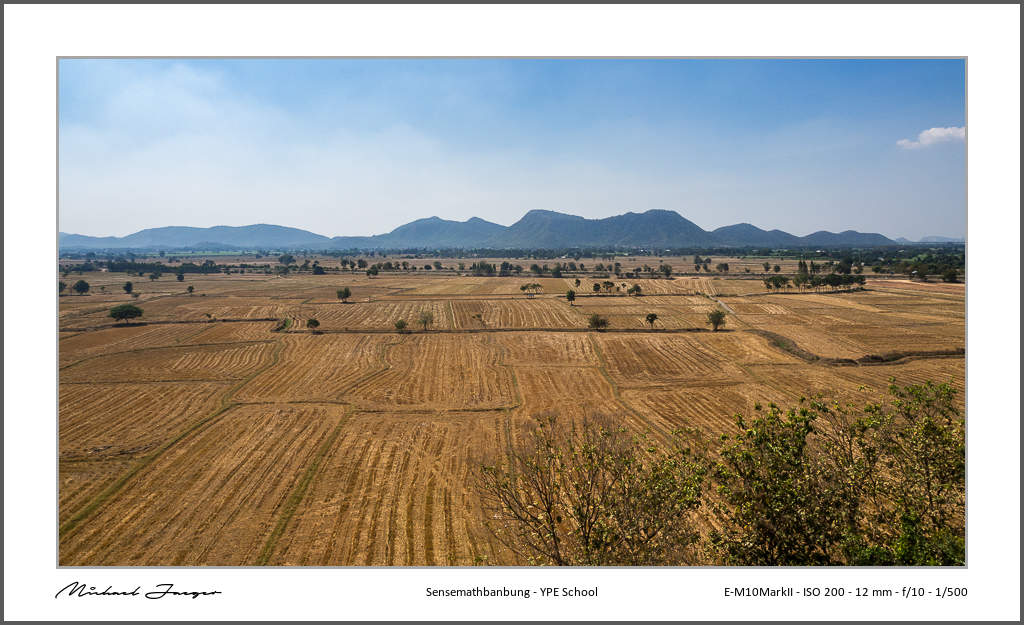 rice-fields.jpg