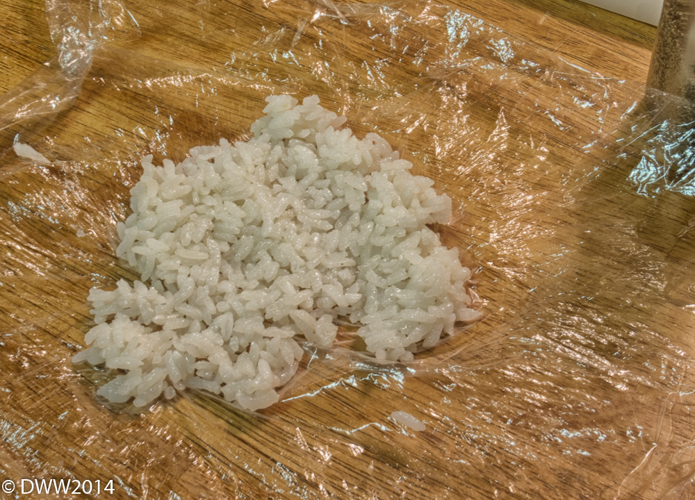 Rice Patty (1 of 1).jpg