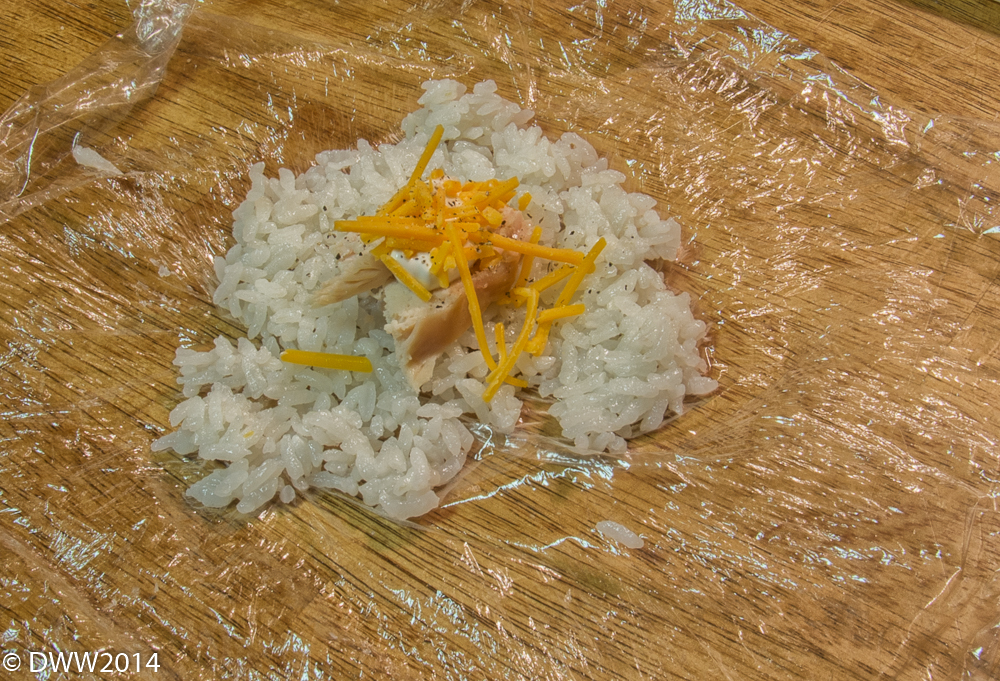 Rice Patty Filling (1 of 1).jpg