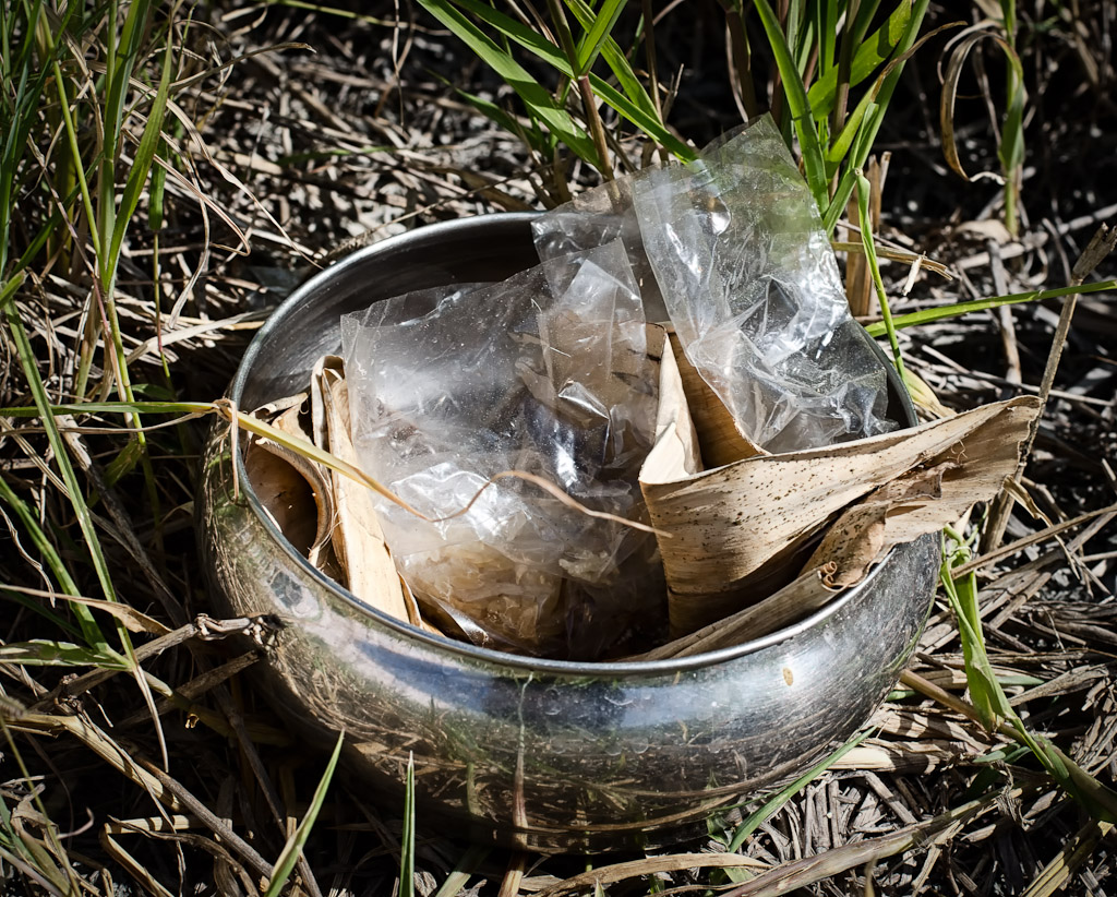 ricebowl-1.jpg