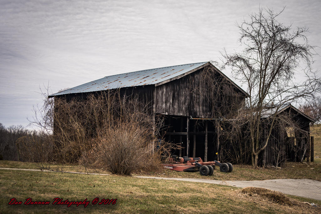 ride Home-9164.jpg
