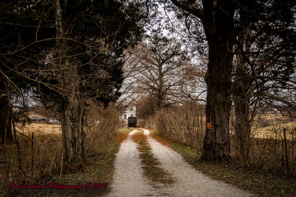 ride Home-9165.jpg